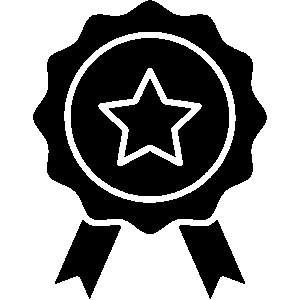 Icon of a medal