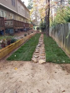 Stone path in backyard